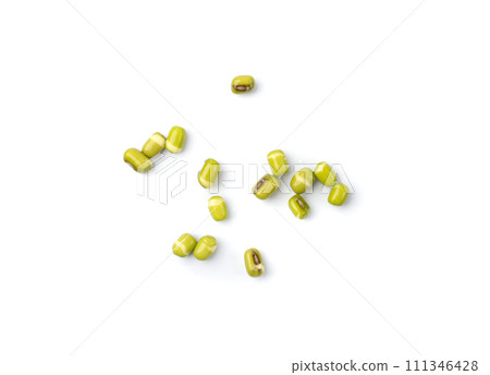 Soaked Mung Beans, Wet Vigna Radiata Seeds Pile, Macro Photo of Green Gram in Water 111346428