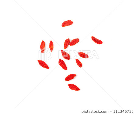 Goji Berry Isolated, Lycium Barbaru, Chinese Wolfberry, Barbary Matrimony Vine Berries, Red Medlar 111346735