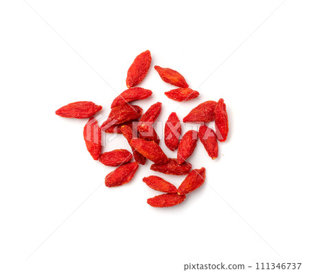 Goji Berry Isolated, Lycium Barbaru, Chinese Wolfberry, Barbary Matrimony Vine Berries, Red Medlar Goji Berry Isolated, Lycium Barbaru, Chinese Wolfberry, Barbary Matrimony Vine Berries, Red Medlar 111346737