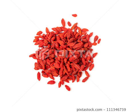 Goji Berry Isolated, Lycium Barbaru, Chinese Wolfberry, Barbary Matrimony Vine Berries, Red Medlar 111346739
