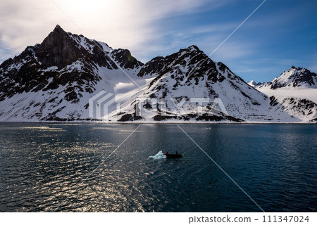 Arctic landscape with beautiful lighting in Svalbard Arctic landscape with beautiful lighting in Svalbard 111347024