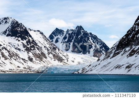 Arctic landscape with beautiful lighting in Svalbard 111347110