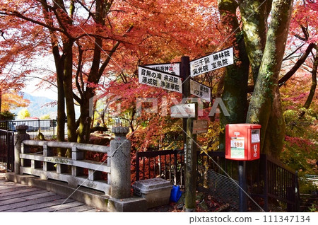 Kyoto City: Autumn leaves and signpost near Rogawa Uoyama Bridge on the approach to Ohara Sanzen-in Temple Kyoto City: Autumn leaves and signpost near Rogawa Uoyama Bridge on the approach to Ohara Sanzen-in Temple 111347134