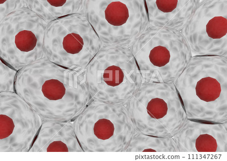 多個動物細胞的圖像 111347267