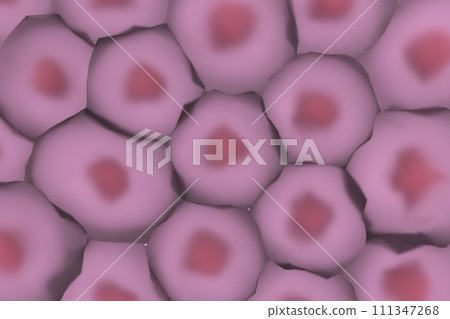 多個動物細胞的圖像 111347268