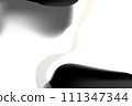 Abstract soft flowing background in black and white colors Abstract soft flowing background in black and white colors 111347344