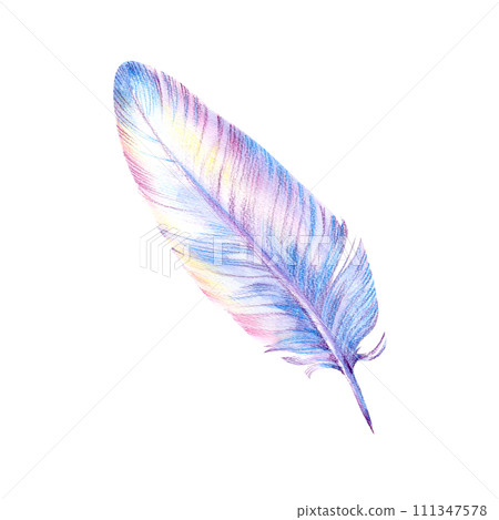 Boho Detailed Watercolor Feather Hand Painted Elegant element isolated Boho Detailed Watercolor Feather Hand Painted Elegant element isolated 111347578