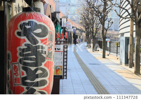 Izakaya lanterns, bar street scenery 111347728