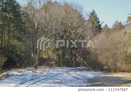 Who are you, passing through the forest and leaving your mark on the pale snow? 111347887