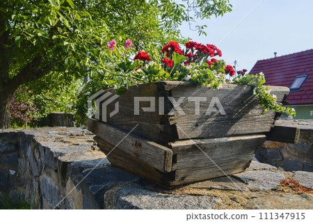 Old rustic wooden window box. Flowery background in Europe. Czech Republic, South Moravia Old rustic wooden window box. Flowery background in Europe. Czech Republic, South Moravia 111347915