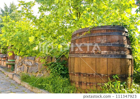 Old wine press and rustic wine barrel.. Wine background in Europe. Czech Republic, South Moravia Old wine press and rustic wine barrel.. Wine background in Europe. Czech Republic, South Moravia 111347923
