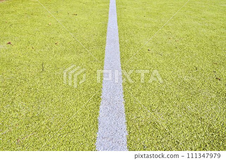 White line on green playing field. Copy space. Sport texture and background 111347979