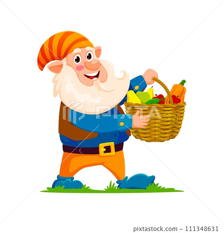 Cartoon gnome or dwarf gardener character happily carries a basket brimming with colorful, ripe and raw fruits. Isolated vector fairytale personage proudly presents delightful and bountiful harvest 111348631