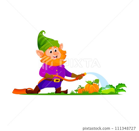 Cartoon gnome or dwarf gardener character. Isolated vector amusing personage tends to vibrant vegetables, joyfully watering the garden with a magical touch, creating a scene of enchanting cultivation Cartoon gnome or dwarf gardener character. Isolated vector amusing personage tends to vibrant vegetables, joyfully watering the garden with a magical touch, creating a scene of enchanting cultivation 111348727