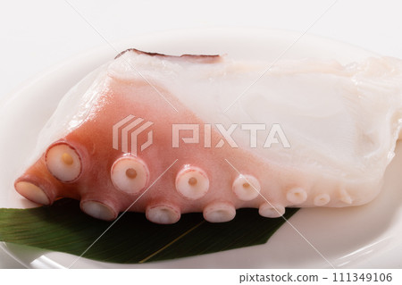 Hokkai water octopus (for sashimi) 111349106