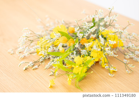 鮮花 切花 鮮花 切花 111349180