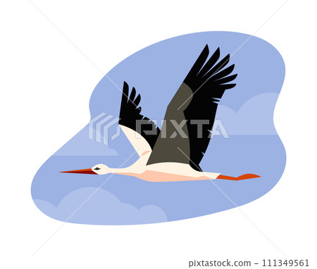 Flying stork bird with black and white feathering, long beak and legs, cartoon vector wildlife animal bird on blue sky 111349561