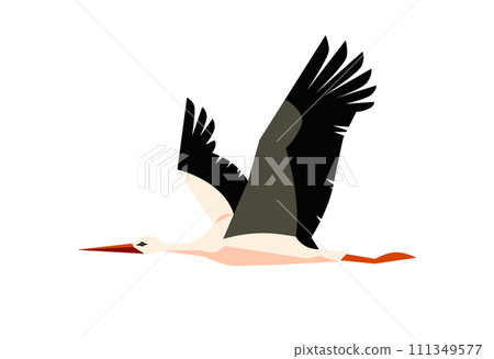 Flying stork bird with black and white feathering, long beak and legs isolated, cartoon vector wildlife animal bird 111349577