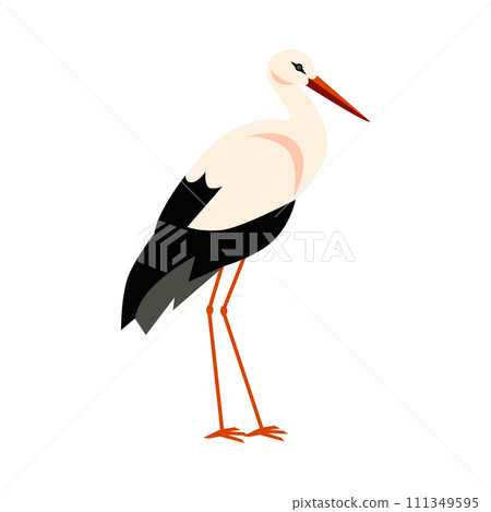 Standing stork bird with black and white feathering, long beak and legs isolated, wildlife animal bird cartoon vector Standing stork bird with black and white feathering, long beak and legs isolated, wildlife animal bird cartoon vector 111349595