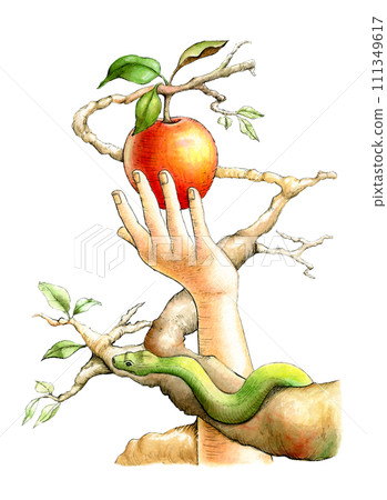 Eva picking up the forbidden fruit Eva picking up the forbidden fruit 111349617
