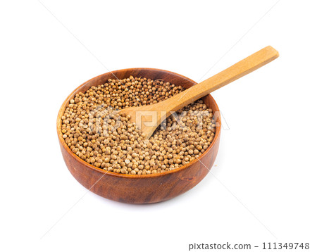 Coriander Seeds Isolated, Cilantro Grains, Chinese Parsley Seed Group, Dry Spices, Seasonings Coriander Seeds Isolated, Cilantro Grains, Chinese Parsley Seed Group, Dry Spices, Seasonings 111349748