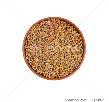 Coriander Seeds Isolated, Cilantro Grains, Chinese Parsley Seed Group, Dry Spices, Seasonings 111349750