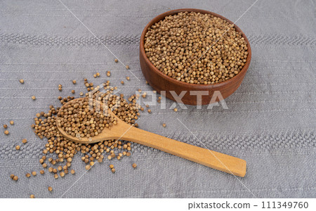 Coriander Seeds in Bowl, Organic Cilantro Grains, Chinese Parsley Seed Group, Dry Spices, Seasonings Coriander Seeds in Bowl, Organic Cilantro Grains, Chinese Parsley Seed Group, Dry Spices, Seasonings 111349760