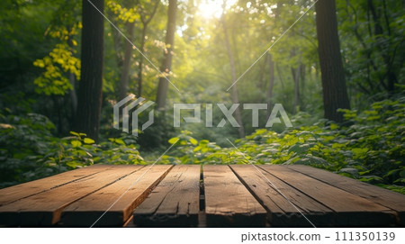 An empty wooden podium, bathed in soft sunlight, amidst a tranquil forest clearing An empty wooden podium, bathed in soft sunlight, amidst a tranquil forest clearing 111350139