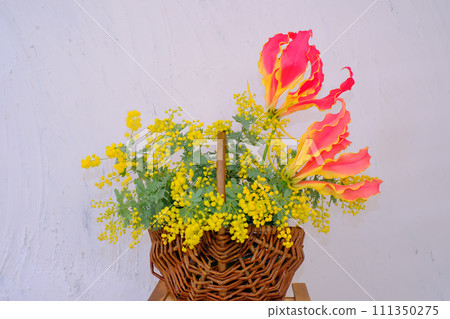 Mimosa and gloriosa flower basket 111350275