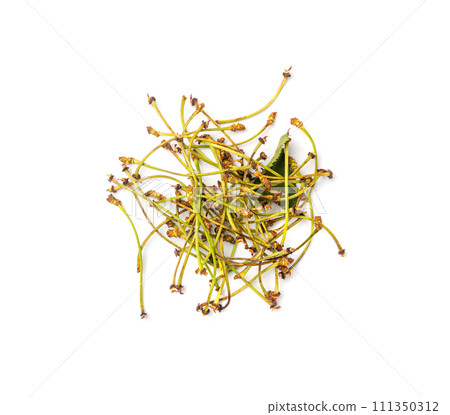 Cherry Tails, Dry Medicinal Plant, Natural Diuretic, Cherry Tails for Healthy Herbal Tea 111350312