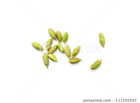 Cardamom Isolated, Green Cardamon Seeds, Dry Kardamon, Cardamum Spice , Genera Elettaria Beans 111350567