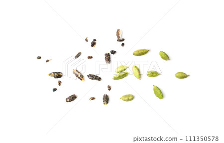 Cardamom Isolated, Green Cardamon Seeds, Dry Kardamon, Cardamum Spice, Genera Elettaria Beans 111350578