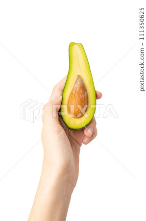 Avocado Isolated, Whole Avokado, Green Avocados Slice, Fresh Alligator Pear, Long Avocado Fruit Avocado Isolated, Whole Avokado, Green Avocados Slice, Fresh Alligator Pear, Long Avocado Fruit 111350625