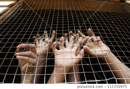 Hand to grab the wire mesh Hand to grab the wire mesh 111350975
