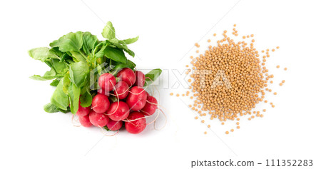 Dry yellow mustard seeds isolated on white background 111352283
