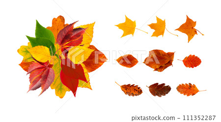 Autumn Leaf Round Frame Isolated, Fall Leaves Border, Colorful October Pattern, Autumn Leaf Texture Autumn Leaf Round Frame Isolated, Fall Leaves Border, Colorful October Pattern, Autumn Leaf Texture 111352287