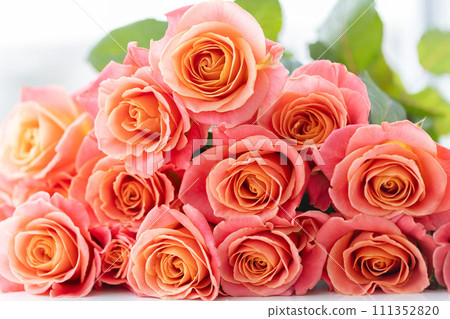 Bouquet of fresh roses closeup. Closeup. Floral gift. Bouquet of fresh roses closeup. Closeup. Floral gift. 111352820