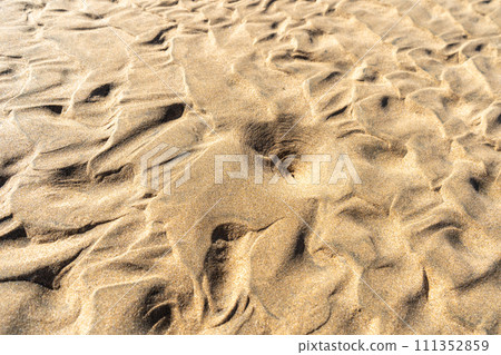 Sand Texture Background, Sandy Beach Pattern, Beige Ocean Dune Wallpaper, Wet Beach 111352859