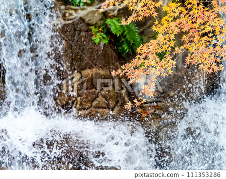 清爽的瀑布和鮮豔的秋葉 111353286
