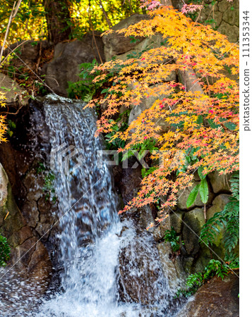 清爽的瀑布和鮮豔的秋葉 清爽的瀑布和鮮豔的秋葉 111353344