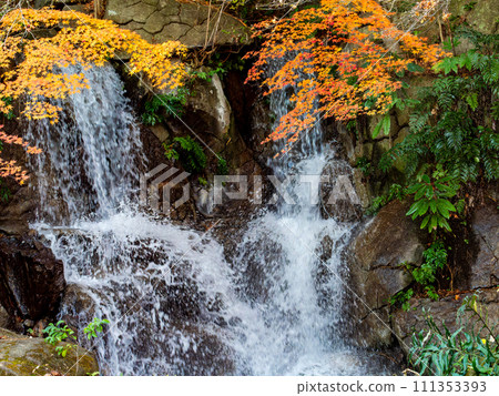 清爽的瀑布和鮮豔的秋葉 清爽的瀑布和鮮豔的秋葉 111353393