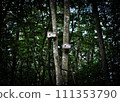 bird house in the forest 111353790