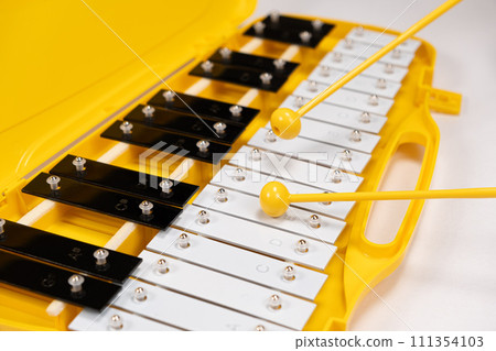 Metallophone, metal xylophone, percussion musical instrument on a white background 111354103