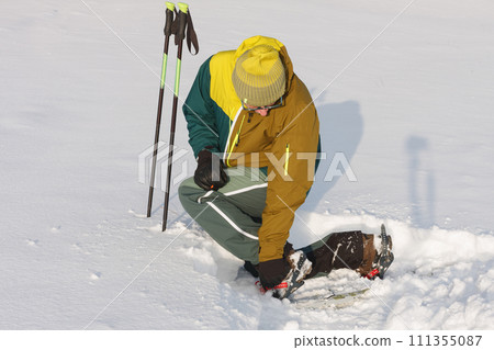 Man is kneeling and putting on his snowshoes on meadow in winter , sunny morning after snow falling. Man is kneeling and putting on his snowshoes on meadow in winter , sunny morning after snow falling. 111355087