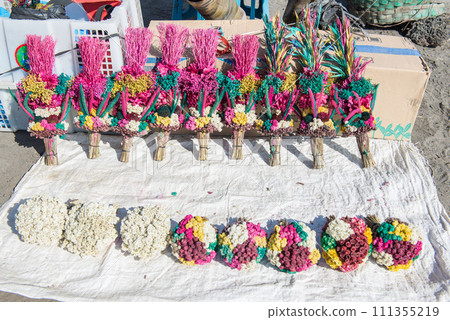 The vivid flowers for praying and offering to Hindu god on Mt.Bromo crater in East Java of Indonesia. The vivid flowers for praying and offering to Hindu god on Mt.Bromo crater in East Java of Indonesia. 111355219