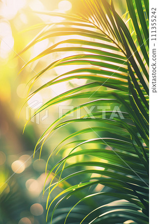 green palm leaf on tropical beach with bokeh sun light wave abstract background 111355242