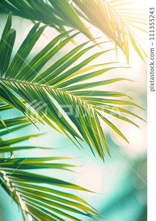 green palm leaf on tropical beach with bokeh sun light wave abstract background 111355243