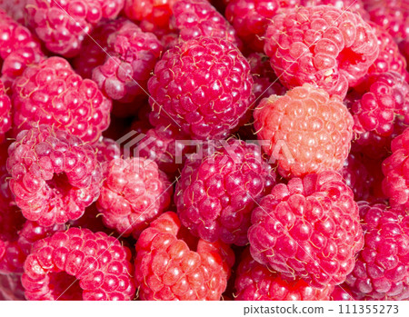 Raspberry. Raspberries set, top view Raspberry. Raspberries set, top view 111355273