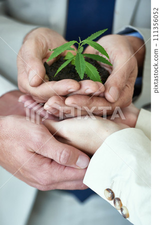Employees, plant and growth for enterprise, future and sustainability for collaboration. Entrepreneur, soil and closeup for green business, development and recycling for investment and nature 111356052