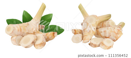 Fresh galangal root with slices isolated on white background with full depth of field. Fresh galangal root with slices isolated on white background with full depth of field. 111356452